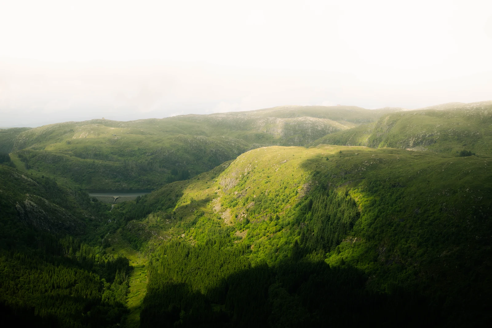 Sunlight falling across a rounded green hillside