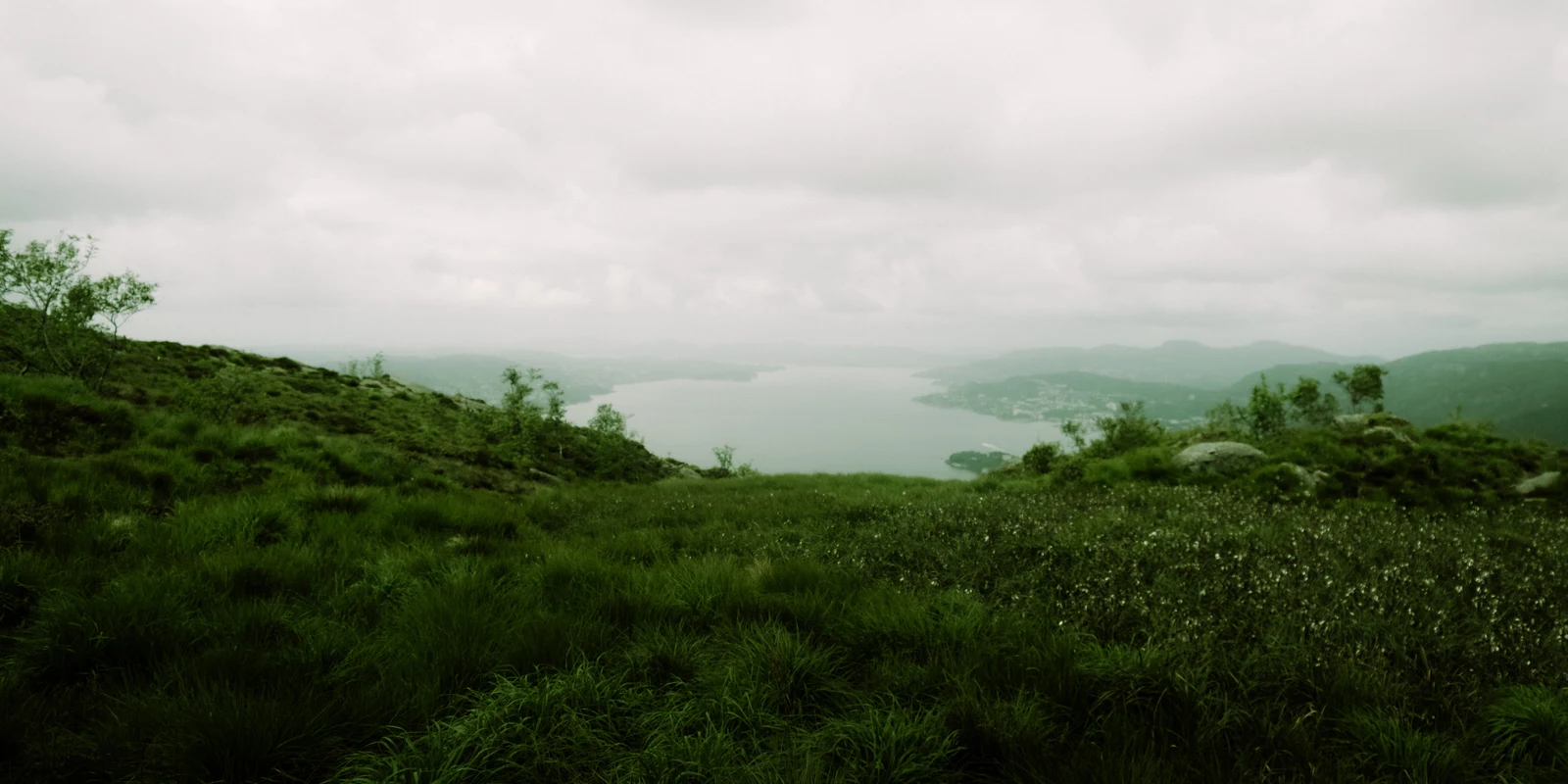 A wide view across dense green hills toward a hazy body of water