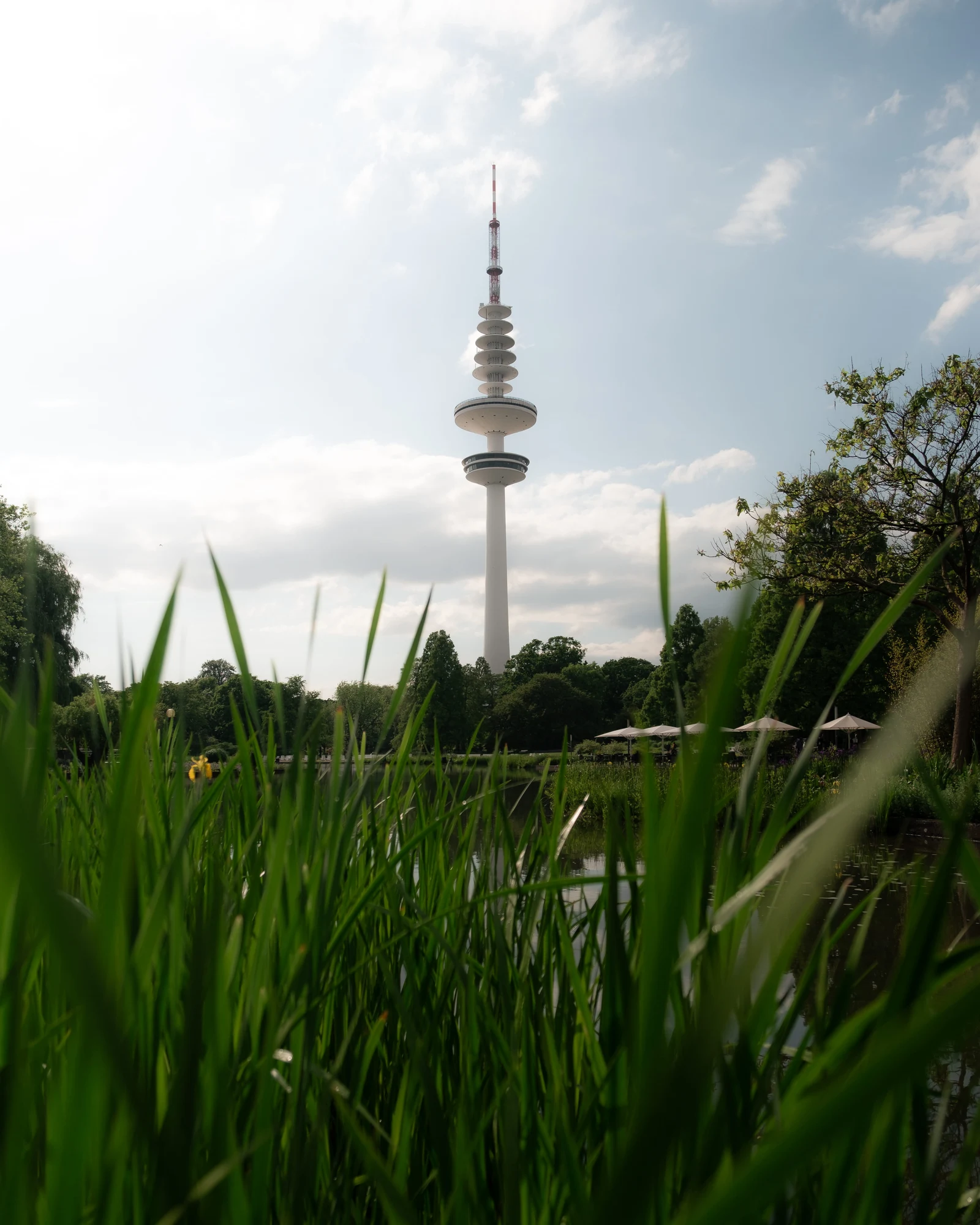 A communications tower rising above reeds beside a pond