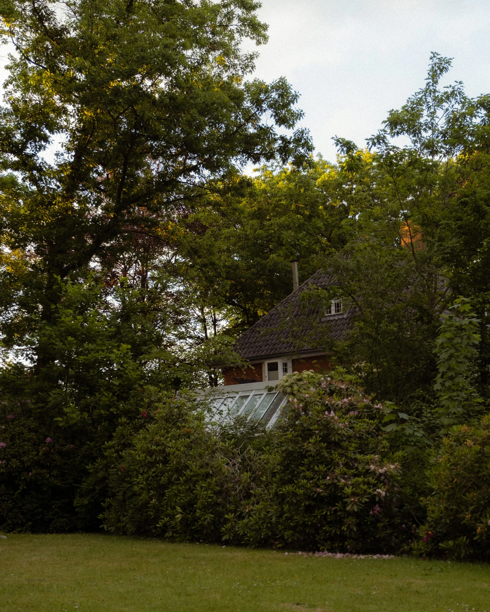 A small glass-roofed garden building surrounded by dense trees