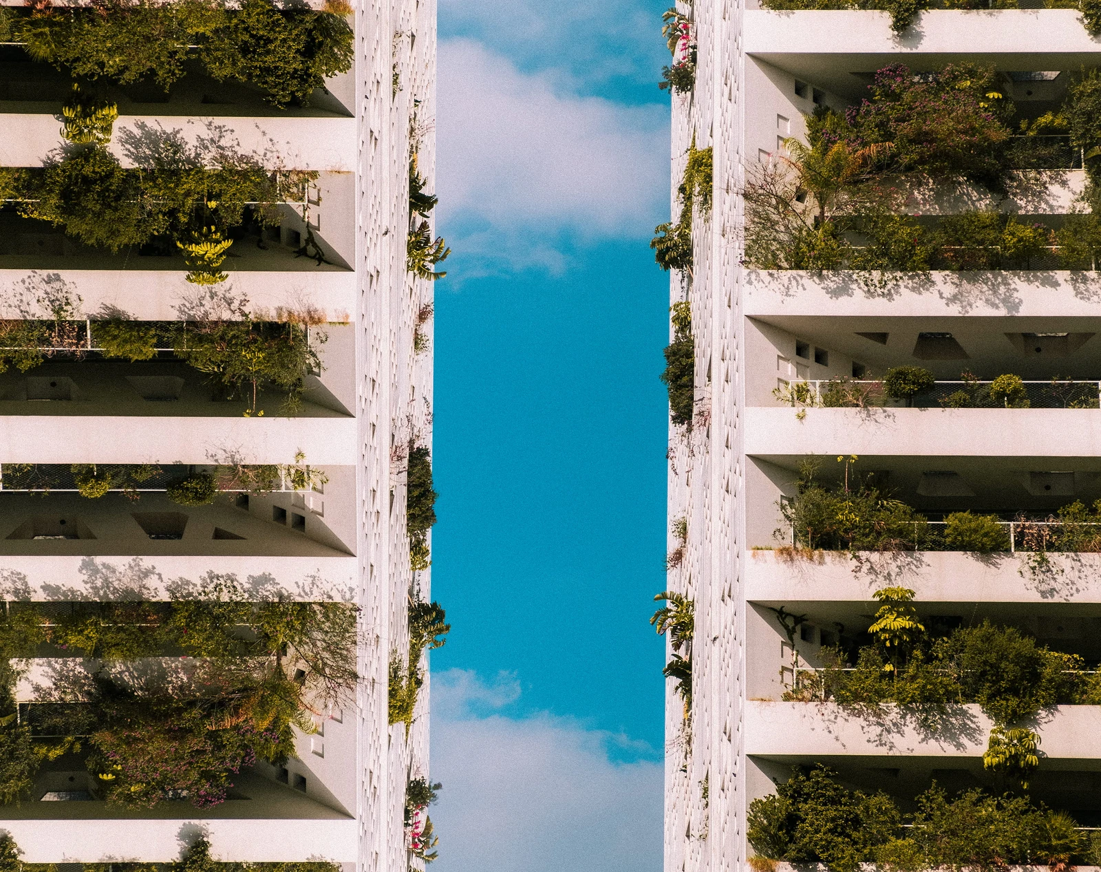 Planted balconies framing a narrow strip of blue sky